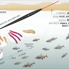 Wędka bat na jezioro, z przynętą biały robak, łowi płocie, krąpie i leszcze.