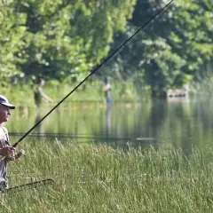 Mężczyzna w czapce i kamizelce łowi ryby w trzcinach. Słońce odbija się w wodzie, tworząc piękne godziny brania ryb.