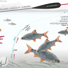 Ilustracja przedstawia zestaw wędkarski boloński z przynętami i rybami w wodzie.