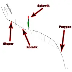 Wędka spławikowa: Jak złożyć idealny zestaw krok po kroku?
