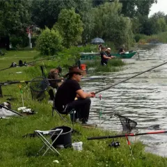 Wędkarze nad jeziorem, gdzie można łowić bez karty wędkarskiej. Wszyscy siedzą na krzesłach, z wędkami w rękach, czekając na branie.