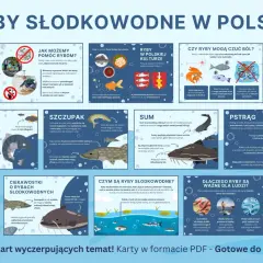 Karp, szczupak, sum i pstrąg – poznaj ryby słodkowodne w Polsce. Dowiedz się, jak im pomóc i dlaczego są ważne dla ludzi.