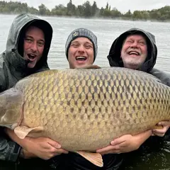 Trzech wędkarzy z dumą prezentuje gigantycznego karpia, prawdopodobnie nowy rekord. Ryba jest ogromna, a jej łuski lśnią w wodzie.