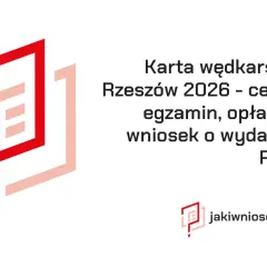 Karta wędkarska online: co załatwisz w sieci, a co w urzędzie?