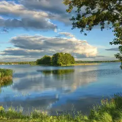 Spokojne jezioro skarlińskie z wyspą porośniętą drzewami. Na pierwszym planie trawa i trzciny, w tle błękitne niebo z chmurami.