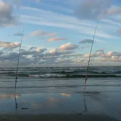 Dwie wędki stoją na plaży, czekając na moment, kiedy bierze szczupak. Morze faluje pod błękitnym niebem z chmurami.