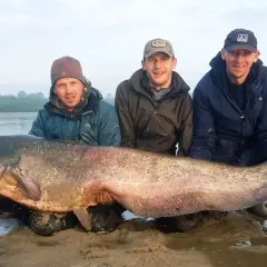 Trzech wędkarzy z gigantycznym sumem złowionym nad zalewem Chańcza. Ryba jest ogromna, a jej głowa sięga do ramion jednego z mężczyzn.