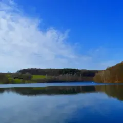 Spokojne jezioro Luterskie odbija błękitne niebo z chmurami. Otoczone lasem, zaprasza do odpoczynku.