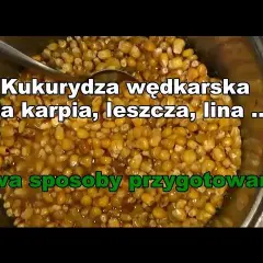 Kukurydza na ryby: Sekrety wyboru i przygotowania skutecznej przynęty