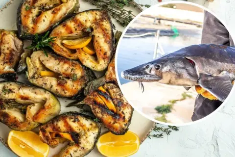 Grillowany jesiotr z cytryną, który obiecuje niezapomniany smak. Obok świeżo złowiony okaz.