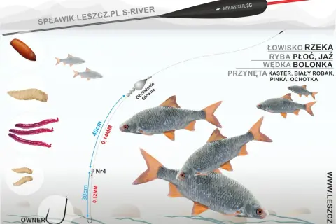 Ilustracja przedstawia zestaw wędkarski boloński z przynętami i rybami w wodzie.
