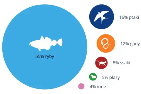Wykres kołowy pokazuje, ile jest gatunków ryb (55%), ptaków (16%), gadów (12%), ssaków (8%), płazów (5%) i innych (4%).