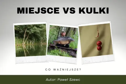 Miejsce czy kulki? Wędkarz z karpiem i przynęty na karpia. Co ważniejsze?
