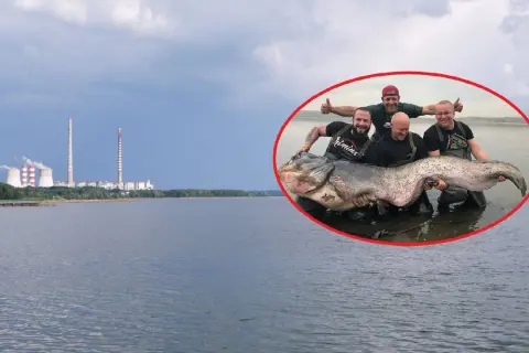 Wędkarze z dumą prezentują gigantycznego suma złowionego w okolicach elektrowni Poraj.