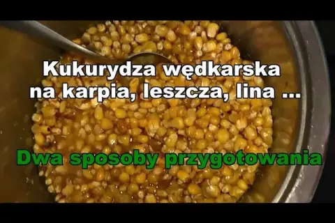 Kukurydza na ryby: Sekrety wyboru i przygotowania skutecznej przynęty