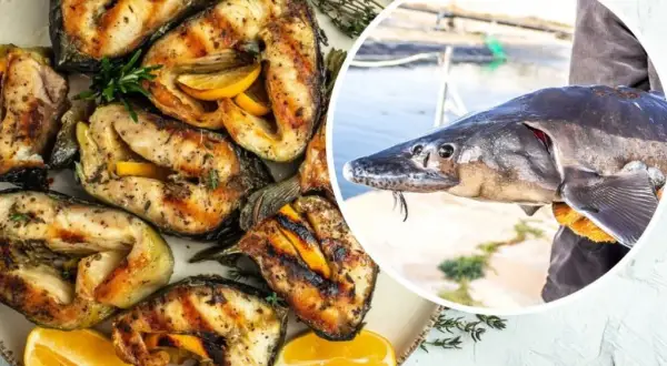 Grillowany jesiotr z cytryną, który obiecuje niezapomniany smak. Obok świeżo złowiony okaz.