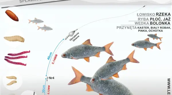 Ilustracja przedstawia zestaw wędkarski boloński z przynętami i rybami w wodzie.