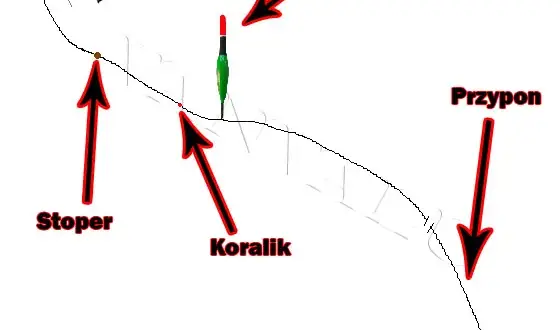 Wędka spławikowa: Jak złożyć idealny zestaw krok po kroku?