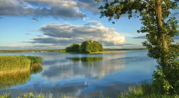 Spokojne jezioro skarlińskie z wyspą porośniętą drzewami. Na pierwszym planie trawa i trzciny, w tle błękitne niebo z chmurami.