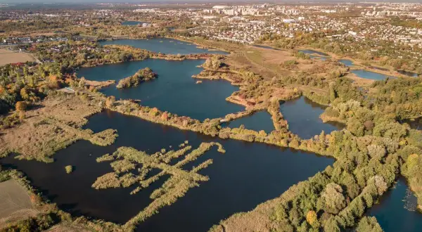 Widok z lotu ptaka na kompleks stawów otoczonych trzcinami i lasem, w tle miasto.