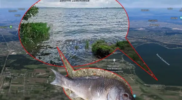 Zbiornik Dziećkowice z rybą na pierwszym planie i widokiem z lotu ptaka.