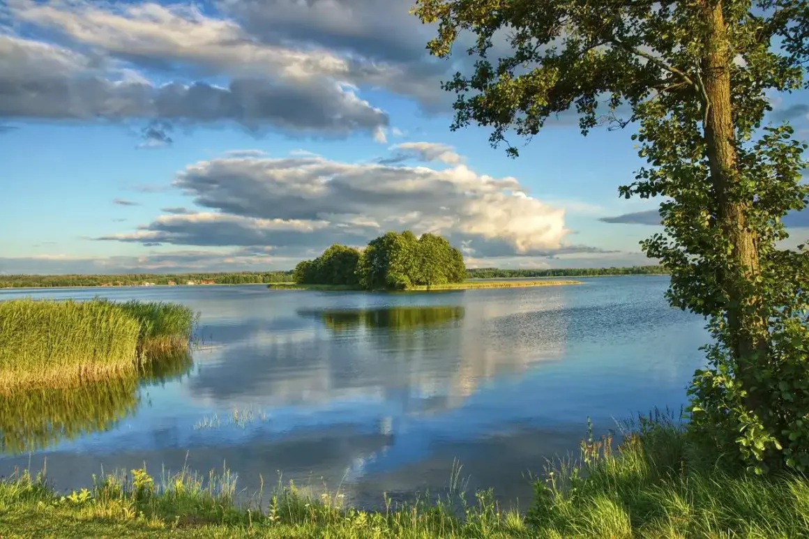 Spokojne jezioro skarlińskie z wyspą porośniętą drzewami. Na pierwszym planie trawa i trzciny, w tle błękitne niebo z chmurami.