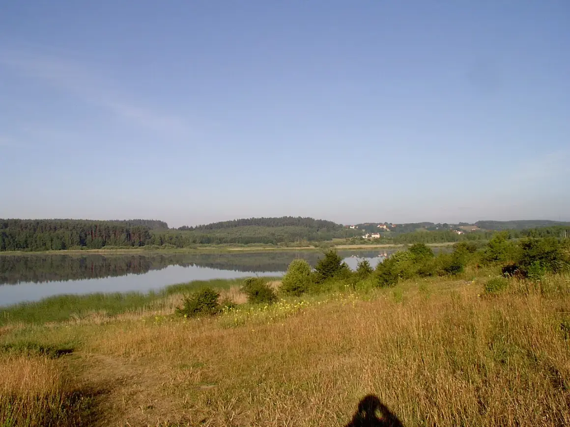 Spokojne jezioro kielarskie odbija las i niebo. Na pierwszym planie trawiasty brzeg.