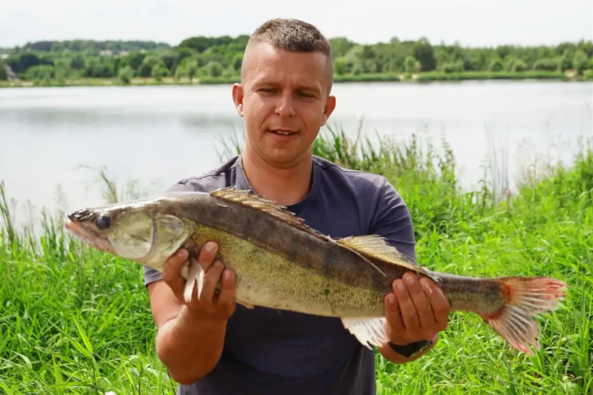 Szczęśliwy wędkarz prezentuje okazałego sandacza złowionego nad zalewem Brody.