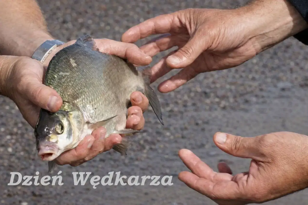 Kiedy jest Dzień Wędkarza? Sprawdź właściwą datę