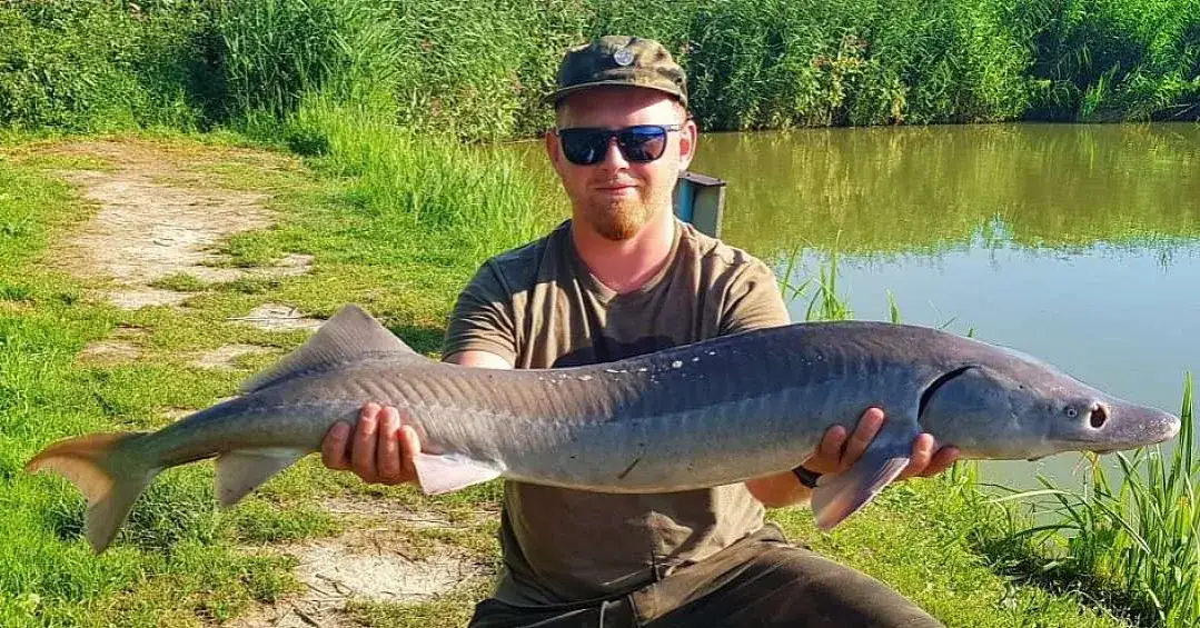 łowisko komercyjne w województwie śląskim