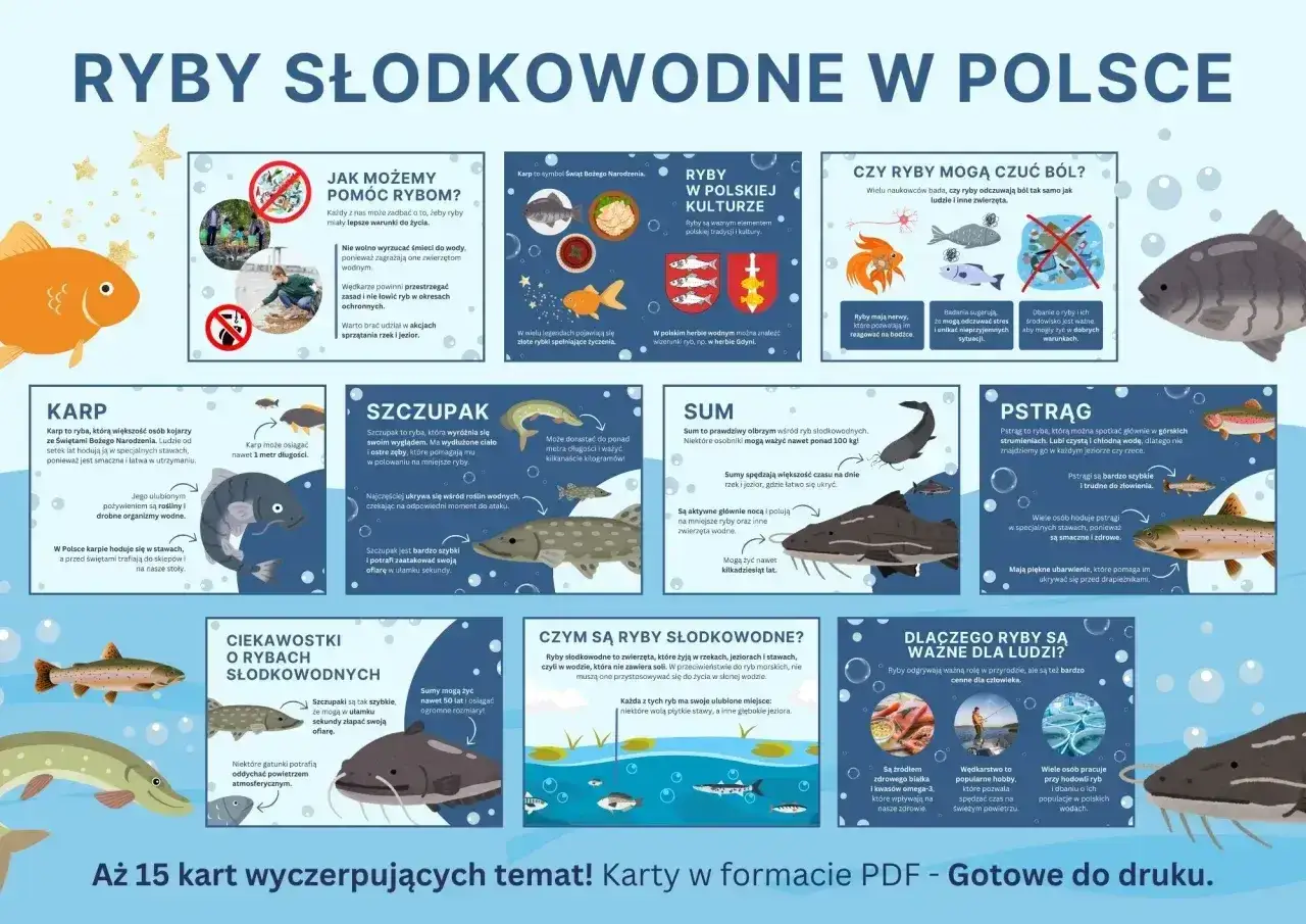 Ilustracja przedstawia ryby słodkowodne w Polsce, w tym karpia, szczupaka, suma i pstrąga.
