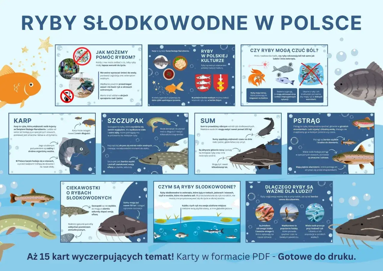 Karp, szczupak, sum i pstrąg – poznaj rodzaje ryb słodkowodnych w Polsce.
