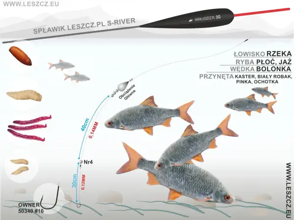 Ilustracja przedstawia zestaw wędkarski boloński z przynętami i rybami w wodzie.