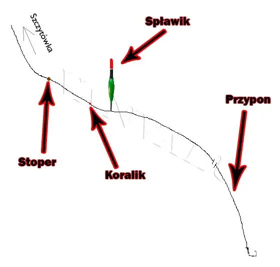 Wędka spławikowa: Jak złożyć idealny zestaw krok po kroku?