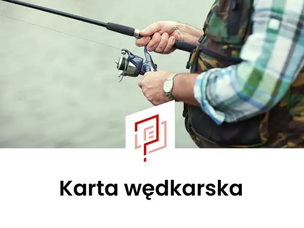 Ręce wędkarza trzymające wędkę i kołowrotek.