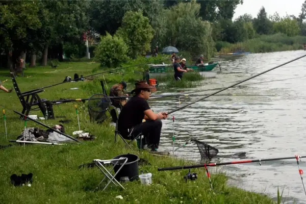 Wędkarze nad jeziorem, gdzie można łowić bez karty wędkarskiej. Wszyscy siedzą na krzesłach, z wędkami w rękach, czekając na branie.