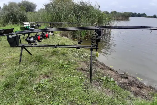 Wędki ustawione nad wodą, z widocznymi kołowrotkami i trzcinami w tle.