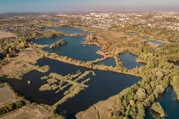 Widok z lotu ptaka na kompleks stawów otoczonych trzcinami i lasem, w tle miasto.